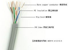 廣東揭陽網線廠 出廠價直供超五類、六類網線，專業定制網絡線纜解決方案